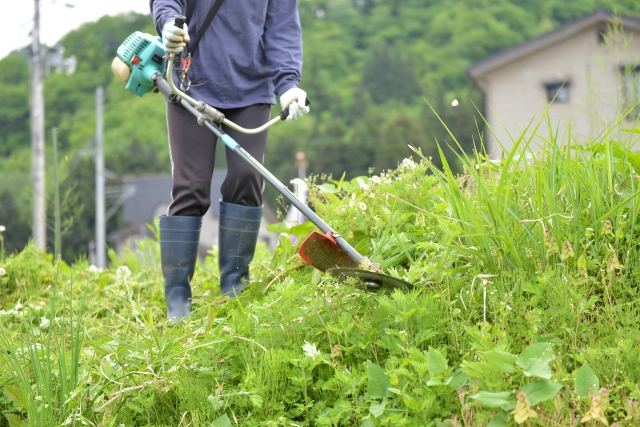 香芝市で草刈りに最適な年3回の時期～楽に草刈りを終えるコツまで徹底解説